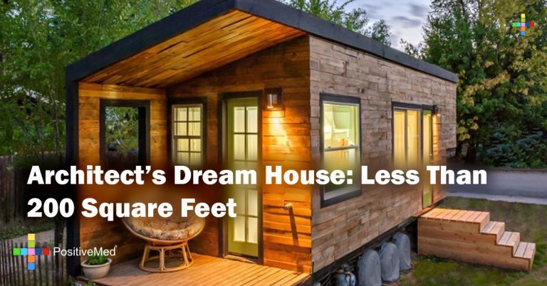 Architect’s Dream House: Less Than 200 Square Feet