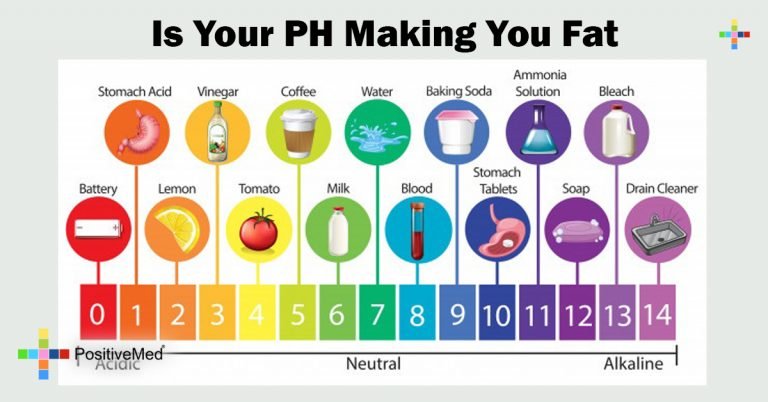 Is Your PH Making You Fat Is Your PH Making You Fat