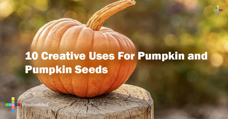 10 Creative Uses For Pumpkin and Pumpkin Seeds