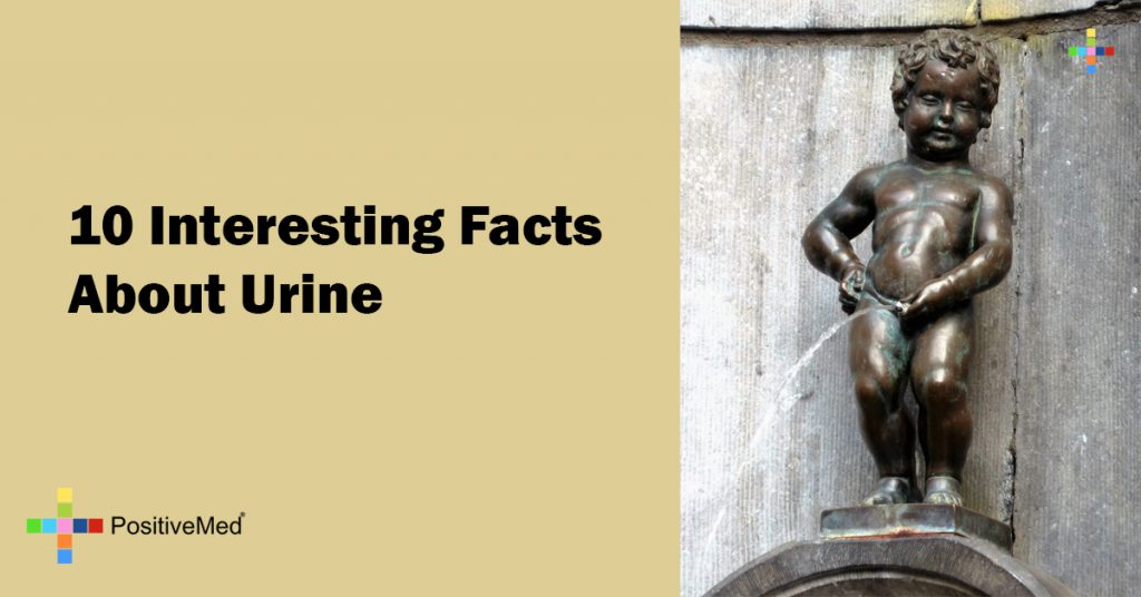 10 Interesting Facts About Urine