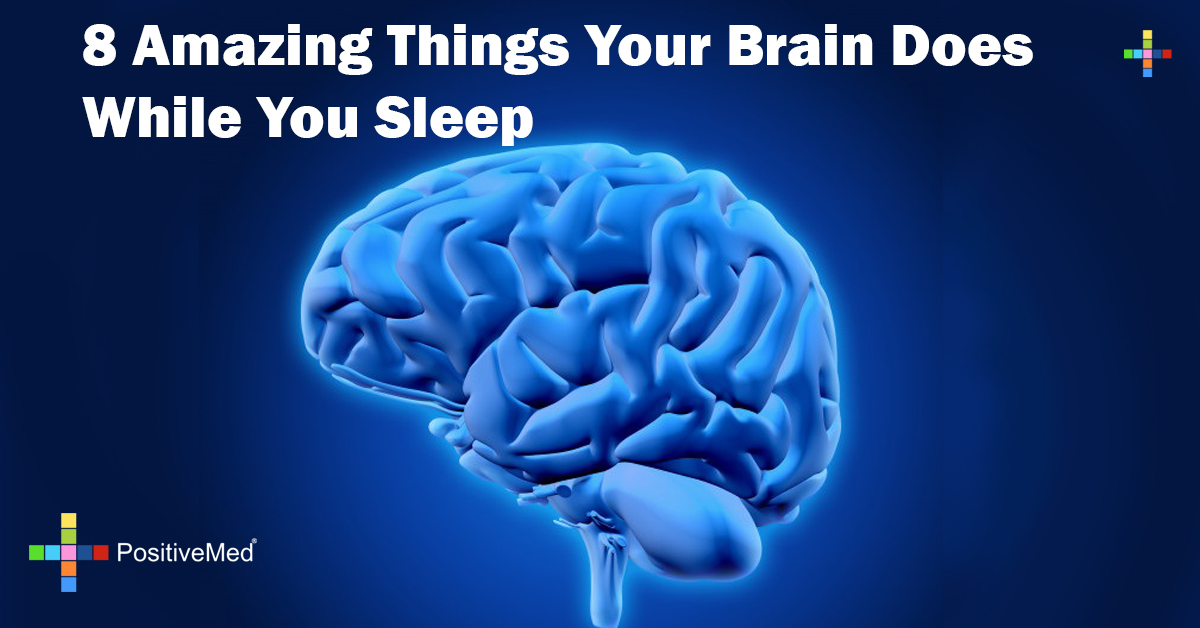 Brain During Sleep