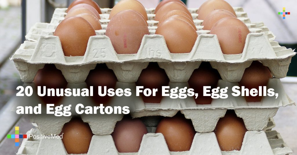 20 Unusual Uses For Eggs, Egg Shells, and Egg Cartons