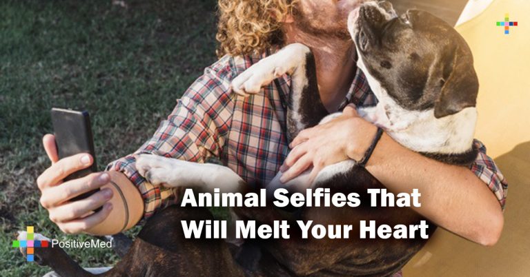 Animal Selfies That Will Melt Your Heart