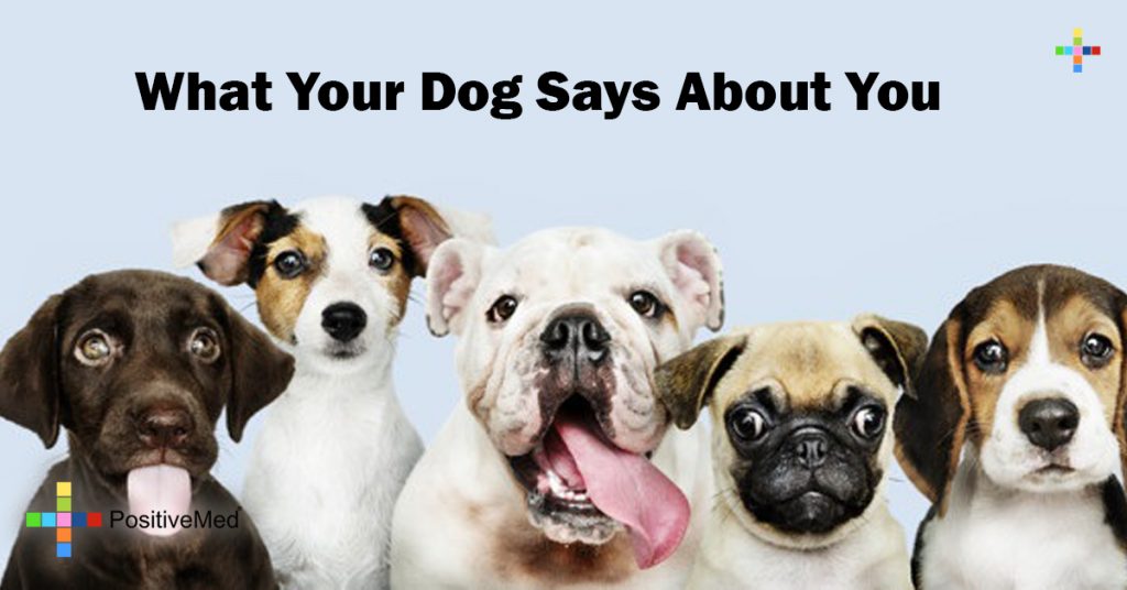What Your Dog Says About You