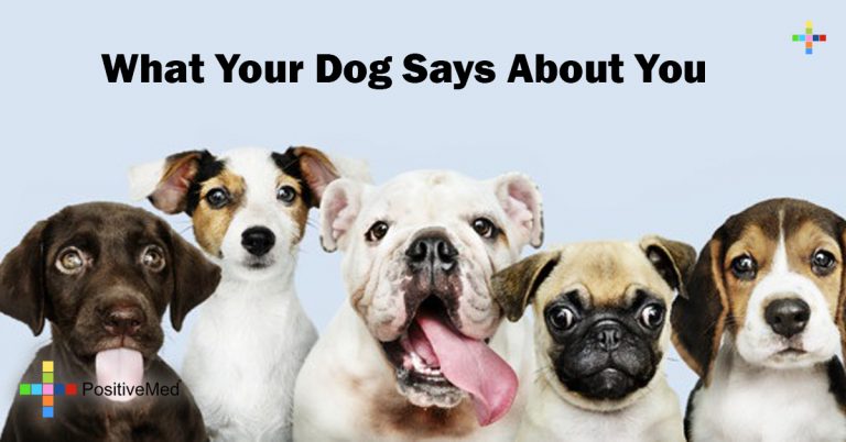 What Your Dog Says About You What Your Dog Says About You