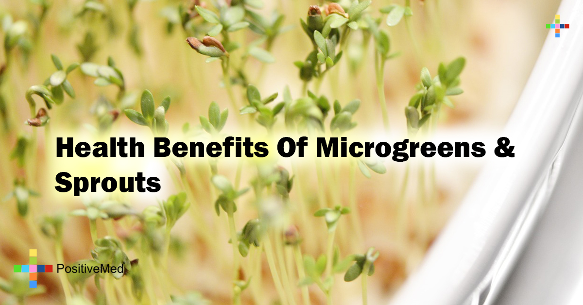 Health Benefits Of Microgreens & Sprouts