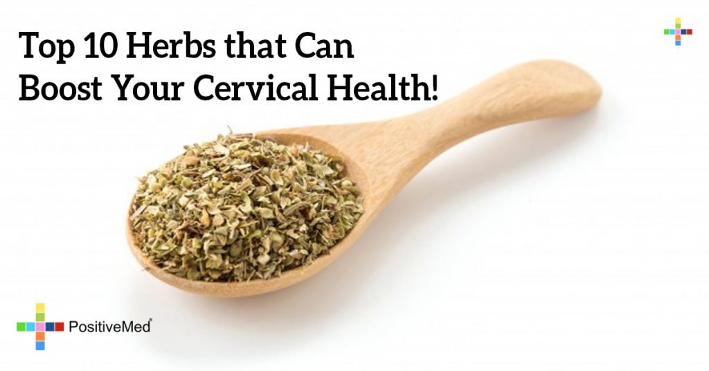 Top 10 Herbs that Can Boost Your Cervical Health!