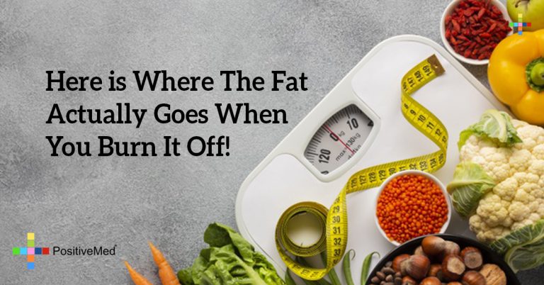 Here is Where The Fat Actually Goes When You Burn It Off!