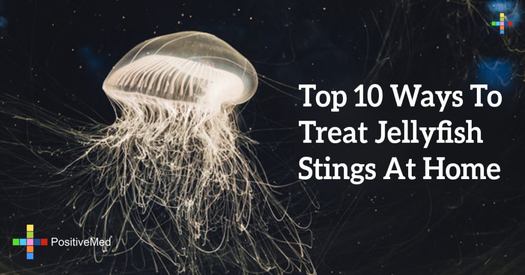 Top 10 Ways To Treat Jellyfish Stings At Home