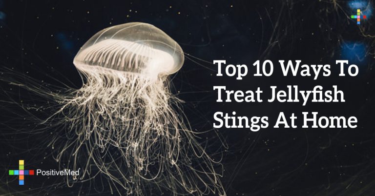 Top 10 Ways To Treat Jellyfish Stings At Home Top 10 Ways To Treat Jellyfish Stings At Home