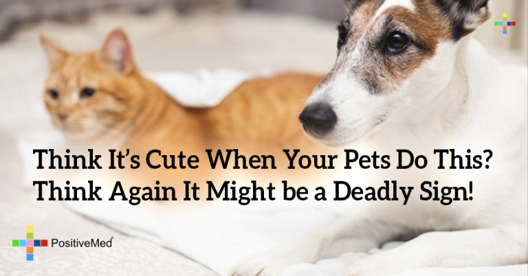 Think It’s Cute When Your Pets Do This? Think Again It Might be a Deadly Sign!