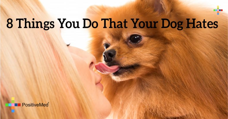 8 Things You Do That Your Dog Hates