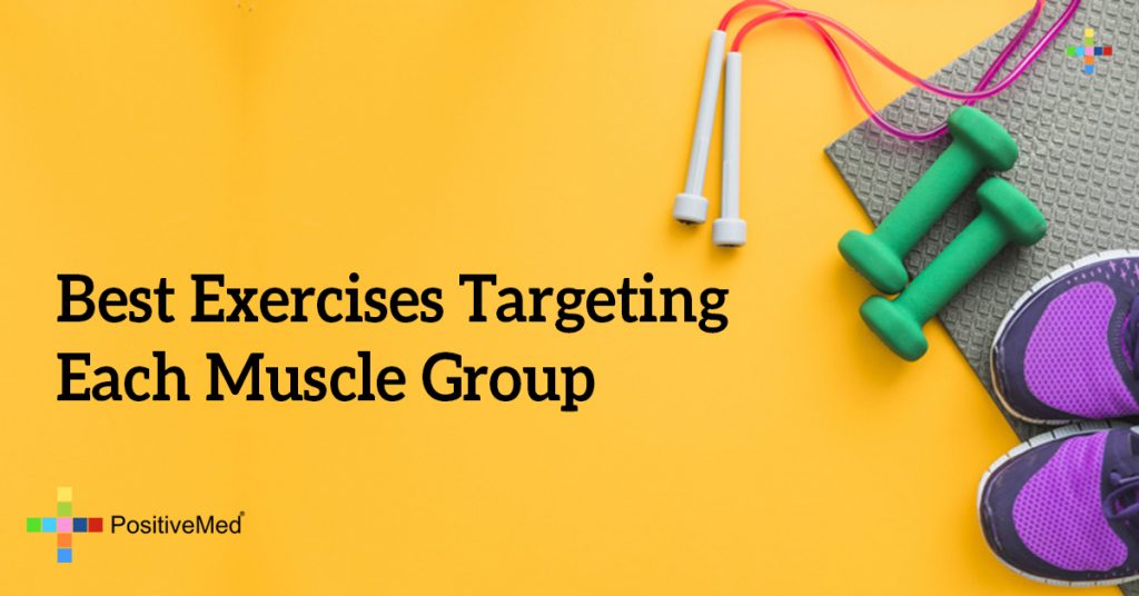 Best Exercises Targeting Each Muscle Group