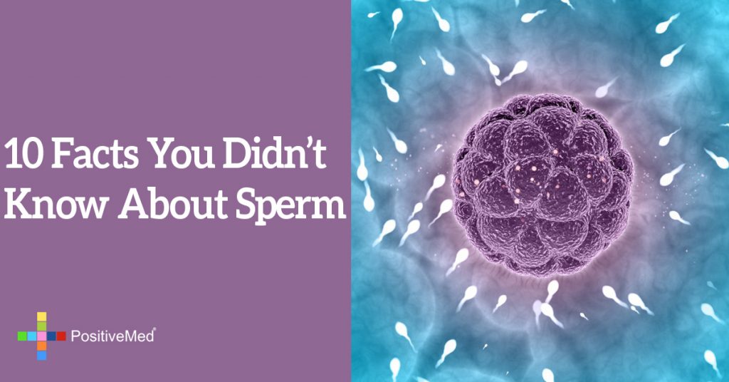 10 Facts You Didn't Know About Sperm