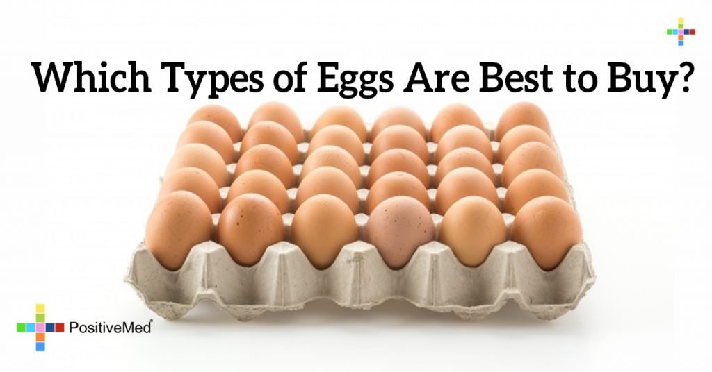 Which Types of Eggs Are Best to Buy?