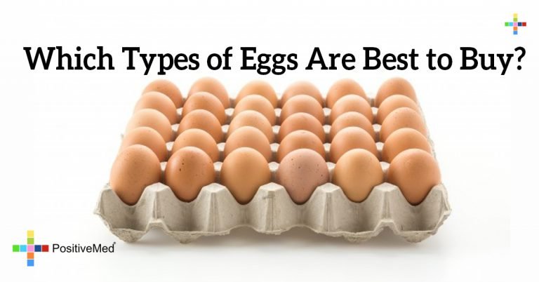 Which Types of Eggs Are Best to Buy? Which Types of Eggs Are Best to Buy?