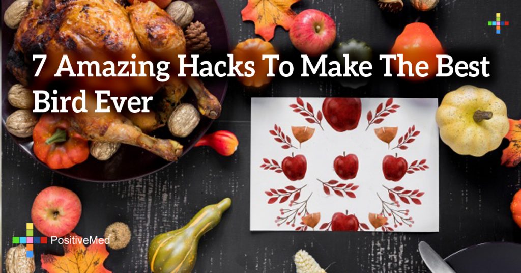 7 Amazing Hacks To Make The Best Bird Ever
