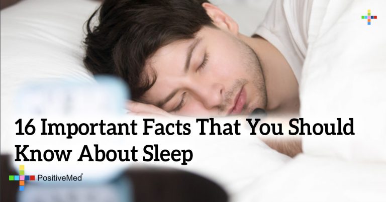 16 Important Facts That You Should Know About Sleep 16 Important Facts That You Should Know About Sleep