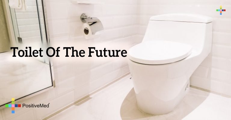 Toilet Of The Future