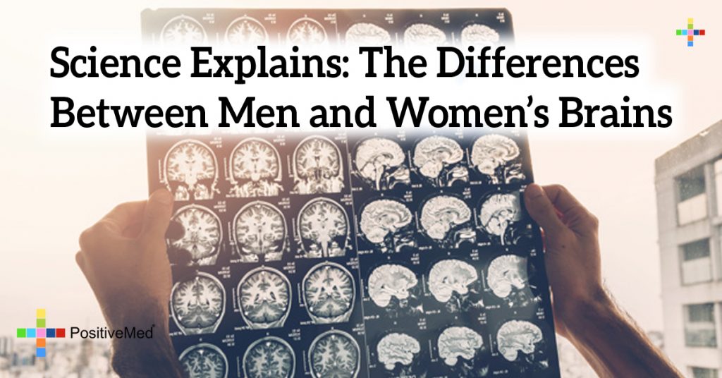 Science Explains: The Differences Between Men and Women's Brains