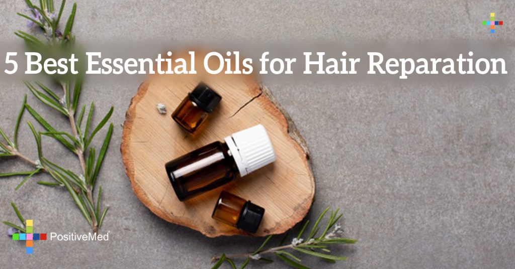 5 Best Essential Oils for Hair Reparation