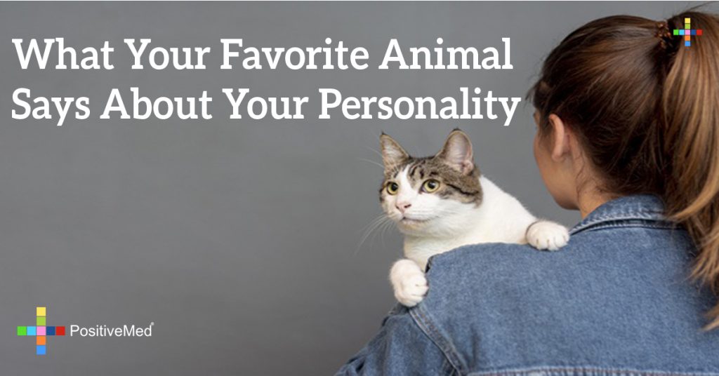 What Your Favorite Animal Says About Your Personality