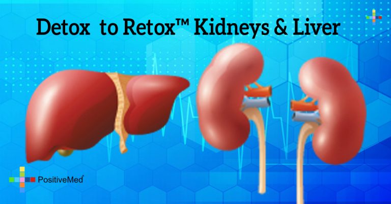 Detox to Retox™ Kidneys & Liver Detox to Retox™ Kidneys & Liver