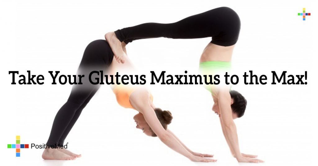 Take Your Gluteus Maximus to the Max!