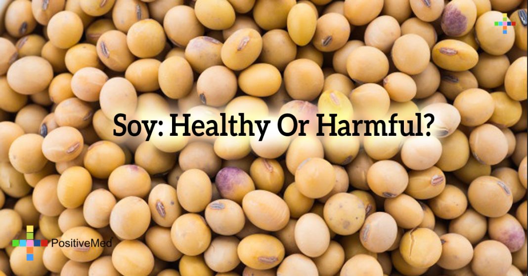 Soy Healthy Or Harmful?