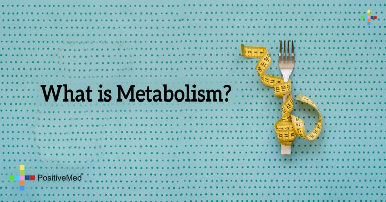 What is Metabolism? What is Metabolism?