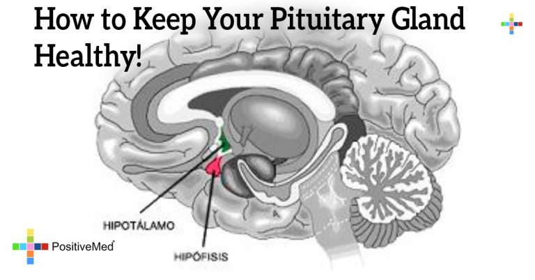 How to Keep Your Pituitary Gland Healthy!