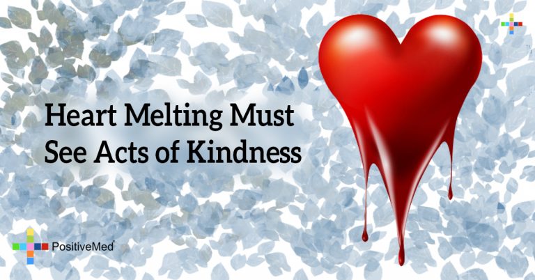 Heart Melting Must See Acts of Kindness Heart Melting Must See Acts of Kindness