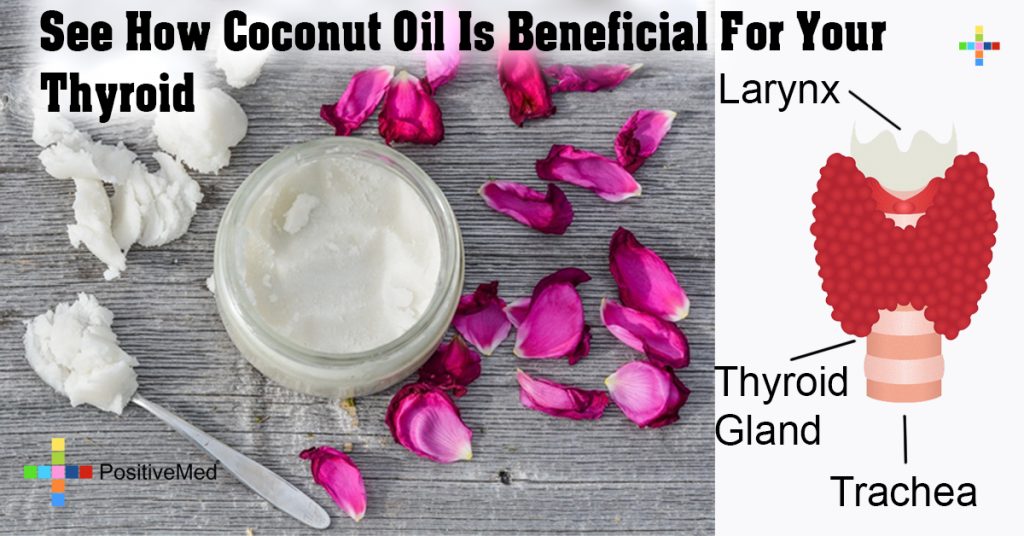 See How Coconut Oil Is Beneficial For Your Thyroid