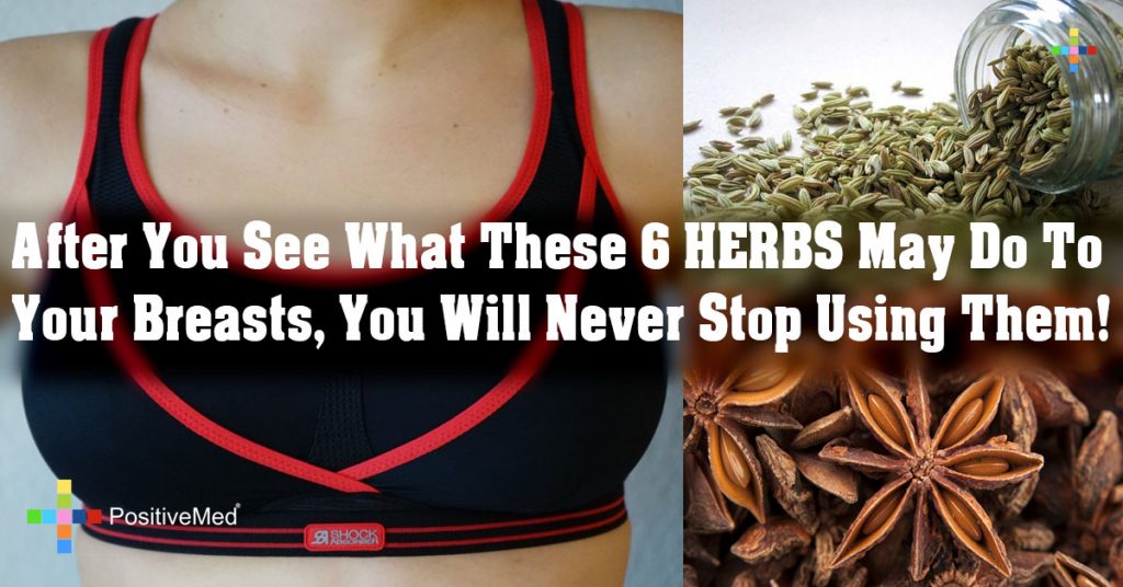 After You See What These 6 HERBS May Do To Your Breasts, You Will Never Stop Using Them!
