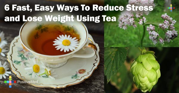 6 Fast, Easy Ways To Reduce Stress and Lose Weight Using Tea