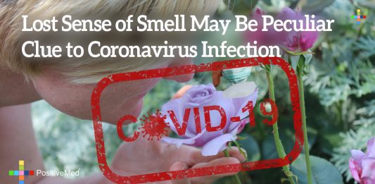 Lost Sense of Smell May Be Peculiar Clue to Coronavirus Infection