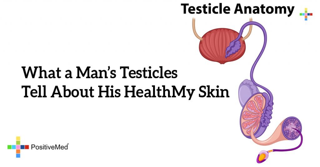 What a Man's Testicles Tell About His Health