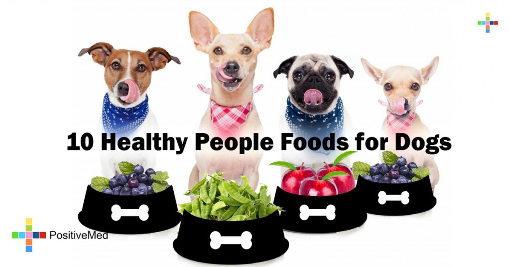 10 Healthy People Foods for Dogs