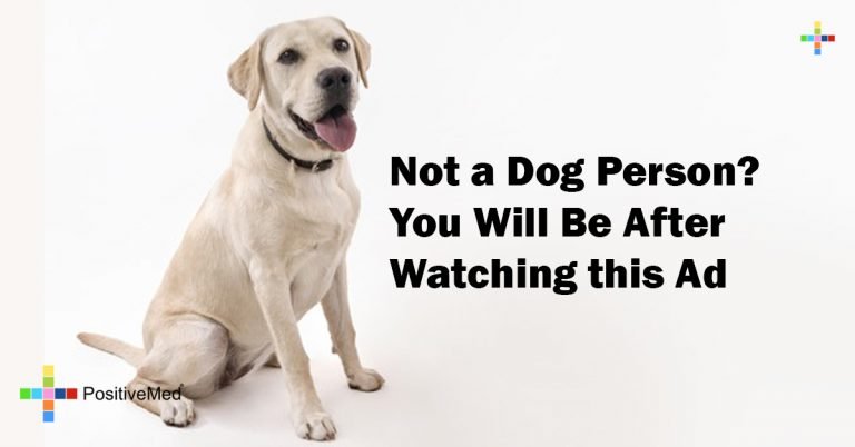 Not a Dog Person? You Will Be After Watching this Ad