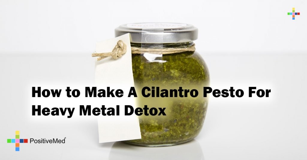 How to Make A Cilantro Pesto For Heavy Metal Detox