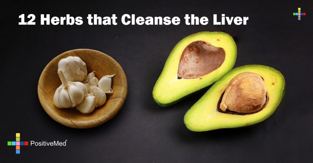 12 Herbs that Cleanse the Liver