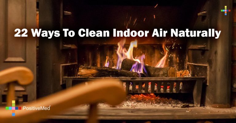 22 Ways To Clean Indoor Air Naturally