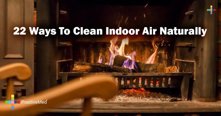 22 Ways To Clean Indoor Air Naturally 22 Ways To Clean Indoor Air Naturally