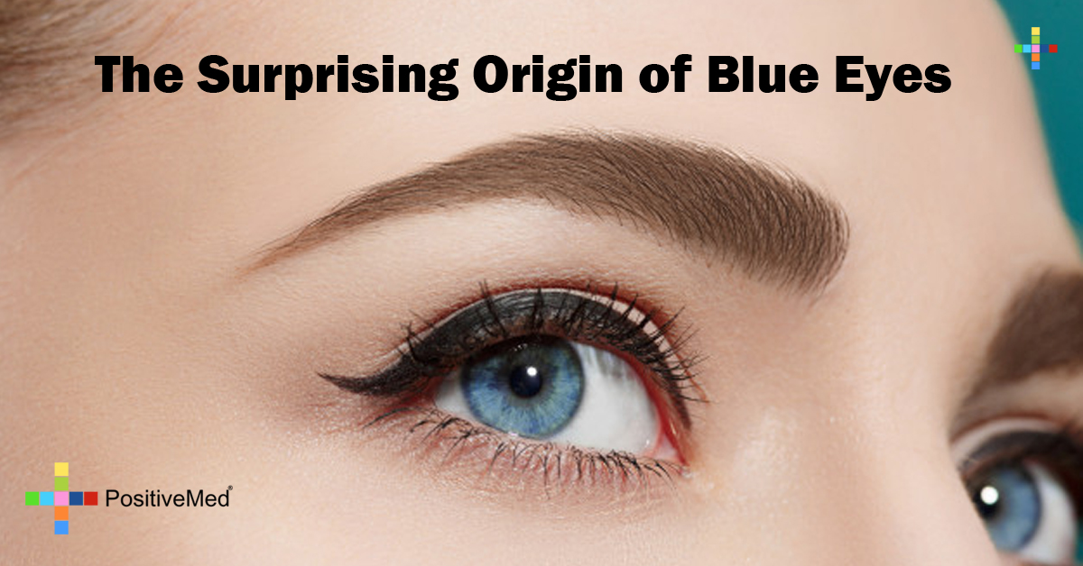 The Surprising Origin of Blue Eyes