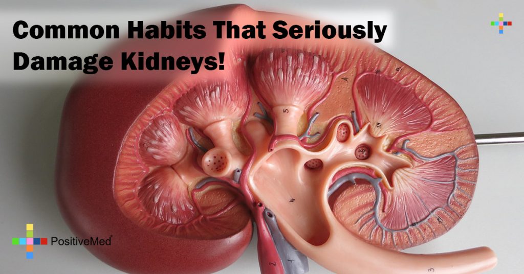 Common Habits That Seriously Damage Kidneys!