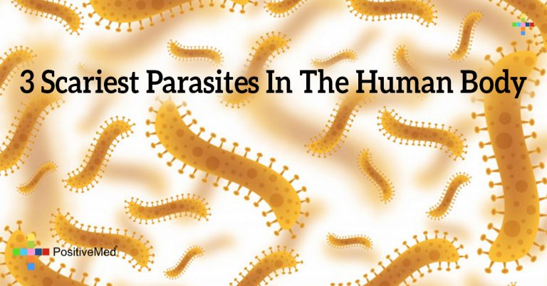3 Scariest Parasites In The Human Body