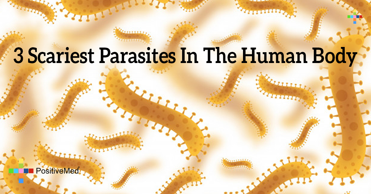 Rare Human Skin Parasites