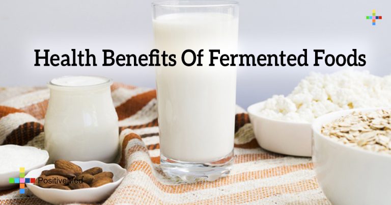 Health Benefits Of Fermented Foods Health Benefits Of Fermented Foods