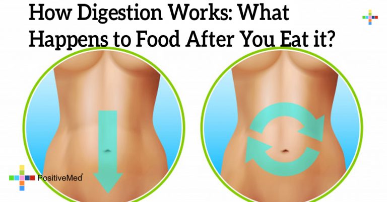 How Digestion Works: What Happens to Food After You Eat it?