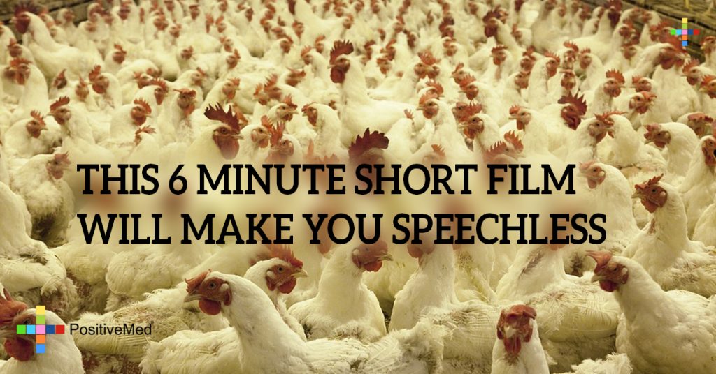 THIS 6 MINUTE SHORT FILM WILL MAKE YOU SPEECHLESS